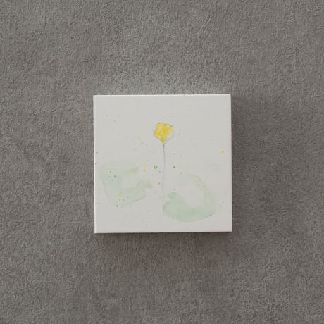 lumikka｜Correspondence-Botanica｜02