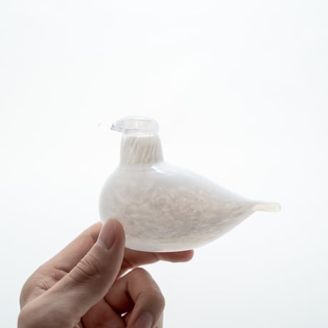 Nuutajarvi / Iittala｜Birds by Toikka｜Little Tern｜white