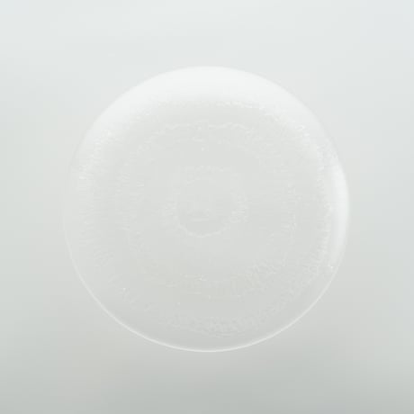 Iittala｜Solaris｜plate φ19cm