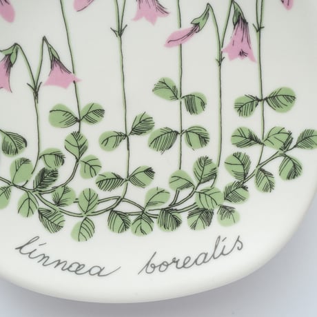Botanica｜23｜リンネソウ / Linnaea borealis