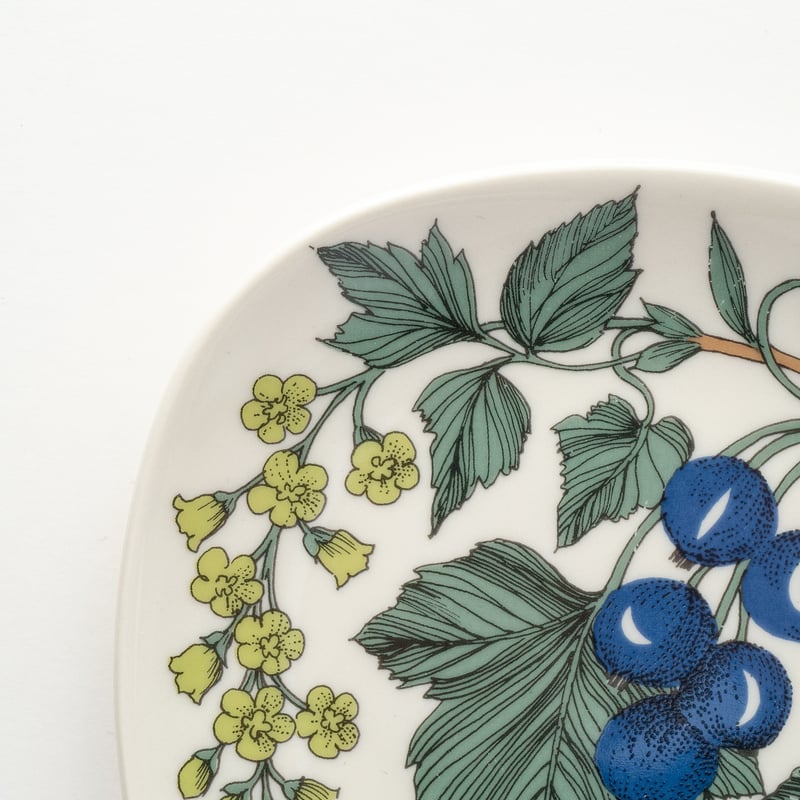 Botanica｜48｜ブラックカラント / Ribes nigrum | lumikka shop