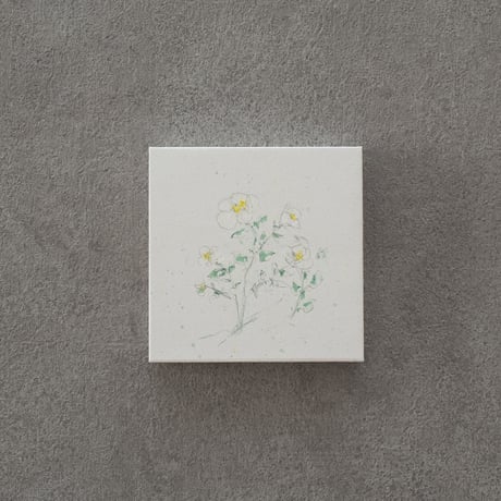 lumikka｜Correspondence-Botanica｜12