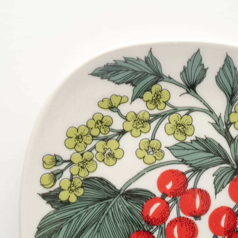 Botanica｜47｜レッドカラント / Ribes rubrum | lumikka shop