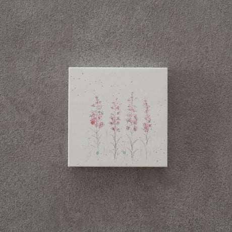 lumikka｜Correspondence-Botanica｜14