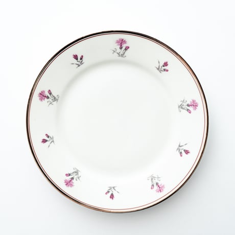 Arabia｜AB model｜plate φ20cm｜pink flower