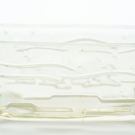 Riihimaki｜polar bear｜bowl 13.8cm