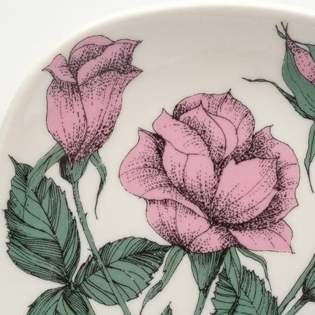 Botanica｜54｜ロサ・ラッポニア / Rosa Lapponia