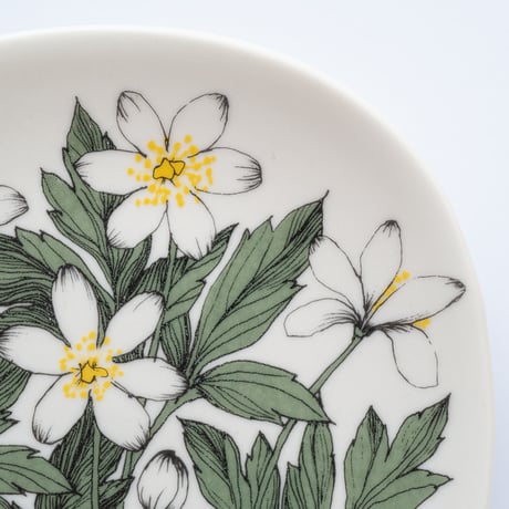 Botanica｜00｜ウッドアネモネ / Anemone nemorosa