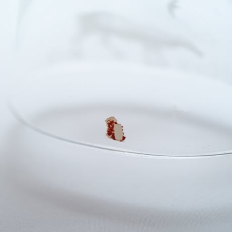 Iittala｜Tunturi｜art glass