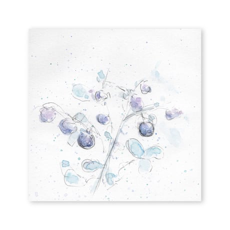 lumikka｜Correspondence-Botanica｜45