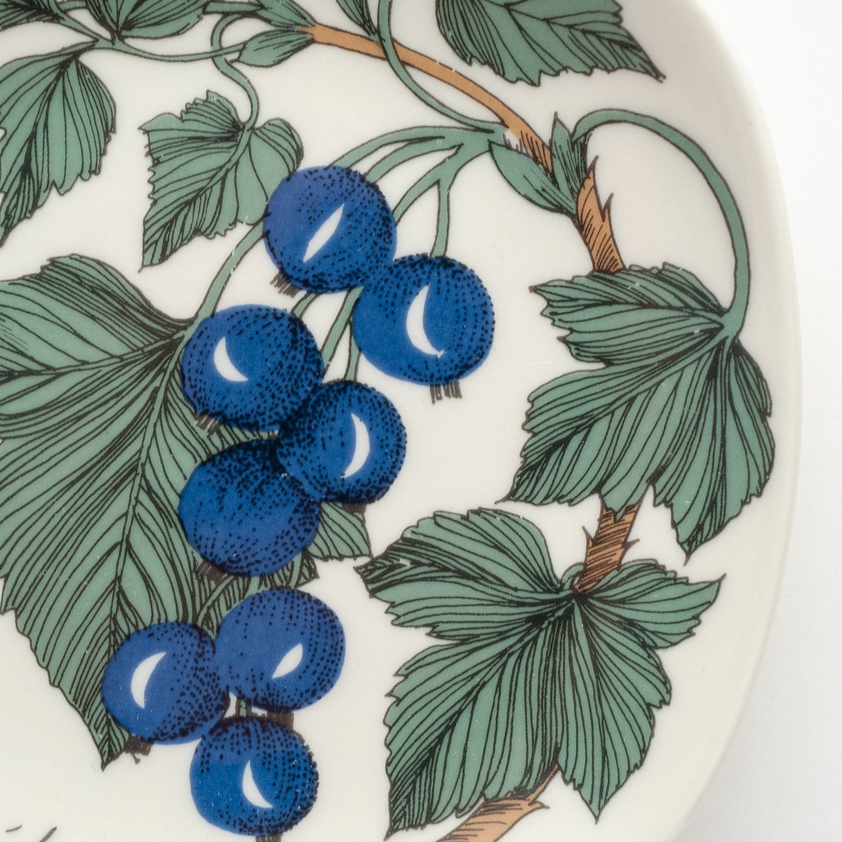 ARABIA エステリ・トムラ ボタニカ \"Ribes rubrum\" ARABIA》Botanica 箱付きレッドカラント (ribes rubum) 【Este