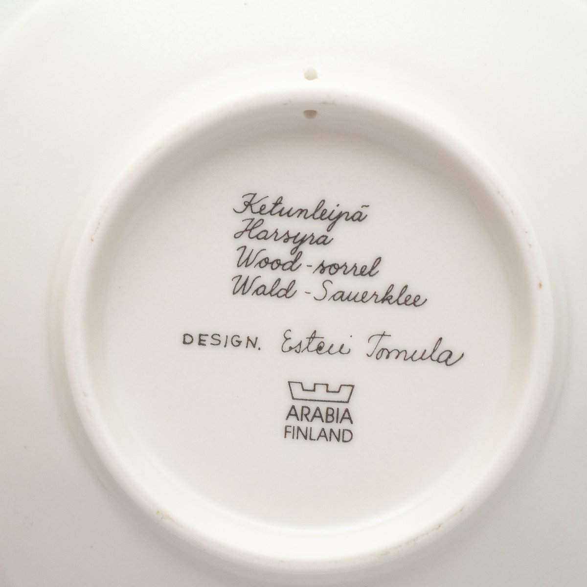 Botanica｜36｜コミヤマカタバミ / Oxalis acetosella | lumi