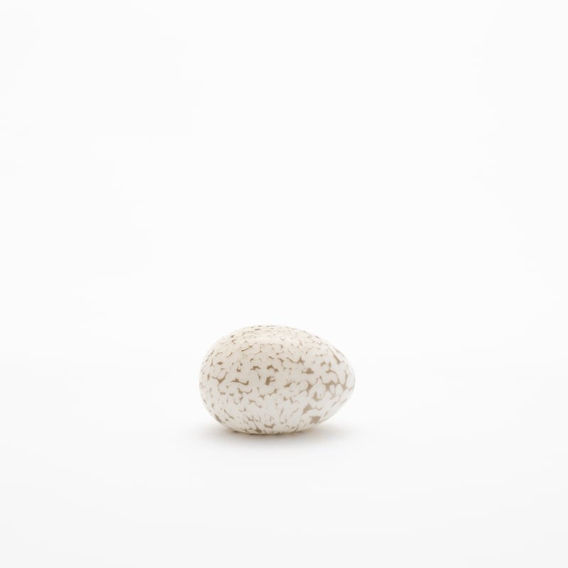 4707 egg ヌータヤルヴィ エッグ ガラス 工芸品 4707 egg