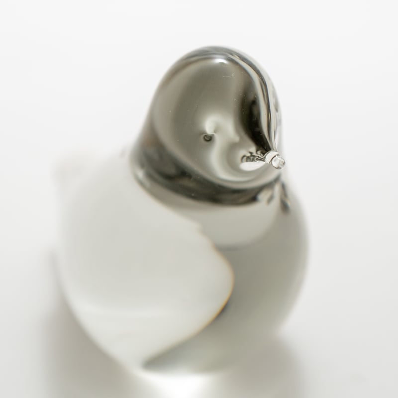 Nuutajarvi｜Jaakko Niemi｜bird｜1 | lumikka shop