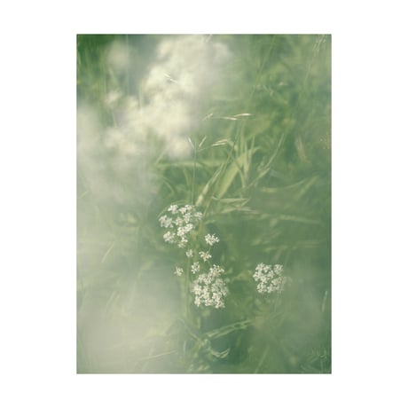 lumikka｜Correspondence-Finland｜03