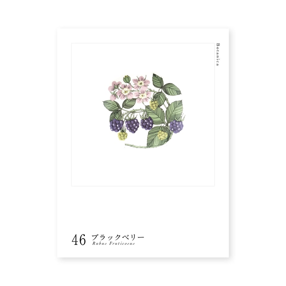 62f13e878691ec565c85eb21