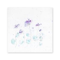 lumikka｜Correspondence-Botanica｜34