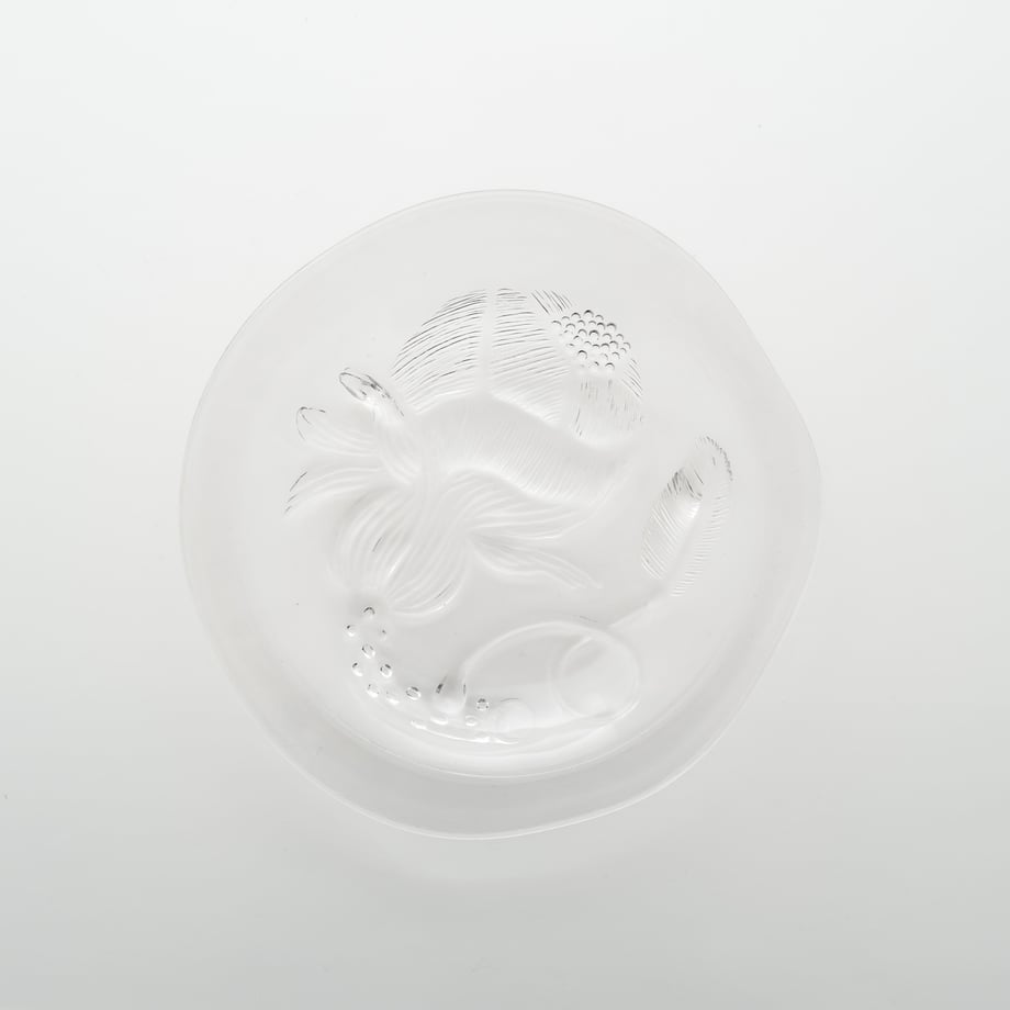 62834ee707e1637de034e851