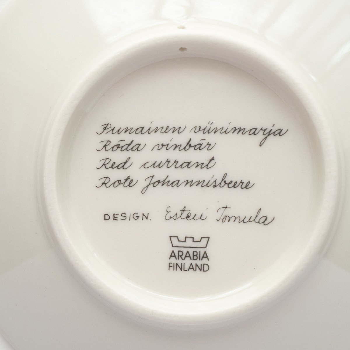 Botanica｜47｜レッドカラント / Ribes rubrum | lumikka shop