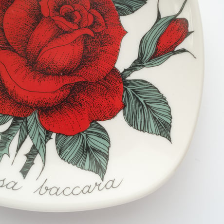 Botanica｜49｜ロサ・バカラ / Rosa Baccara