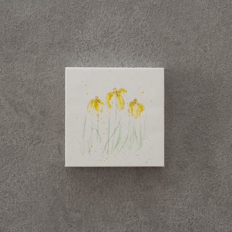 lumikka｜Correspondence-Botanica｜30