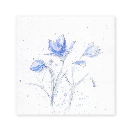 lumikka｜Correspondence-Botanica｜16