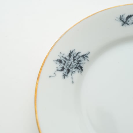 Arabia｜Astra｜plate φ17cm｜2