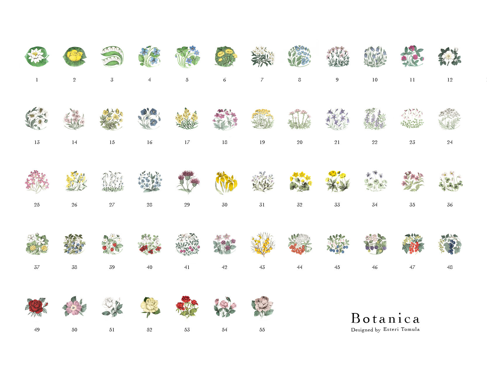 Botanica｜23｜リンネソウ / Linnaea borealis | lumikka