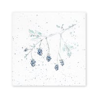 lumikka｜Correspondence-Botanica｜46