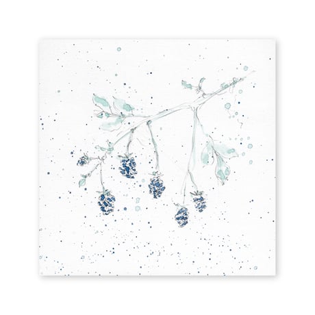 lumikka｜Correspondence-Botanica｜46