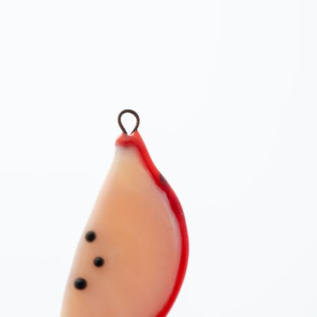 Czech｜glass fruit｜dragonfruit