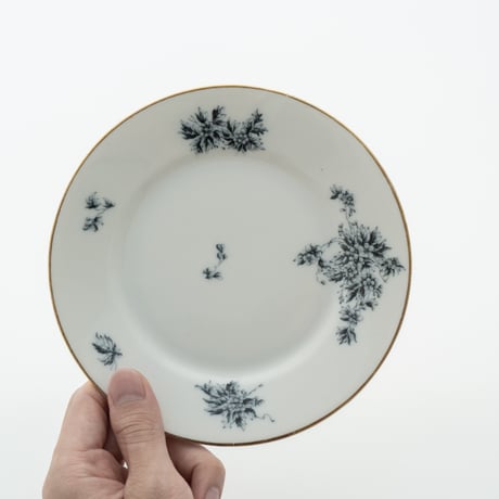 Arabia｜Astra｜plate φ17cm｜2