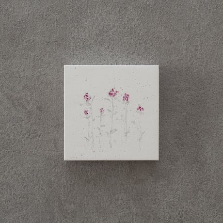 lumikka｜Correspondence-Botanica｜11