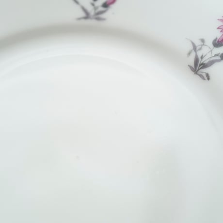 Arabia｜AB model｜plate φ17cm｜pink flower