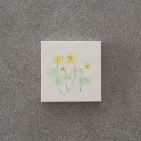 lumikka｜Correspondence-Botanica｜32
