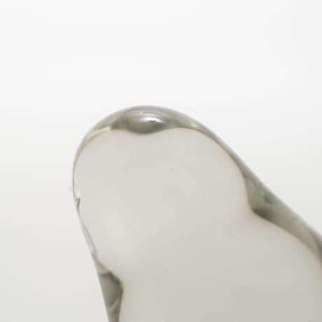 Nuutajarvi｜Jaakko Niemi｜bird｜3