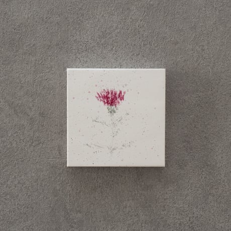 lumikka｜Correspondence-Botanica｜29
