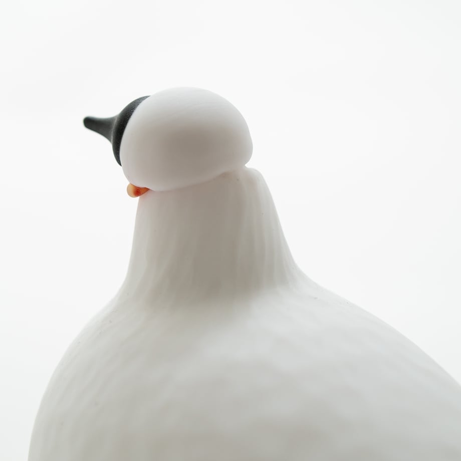 66a9e1707b0f7206f0e37f05