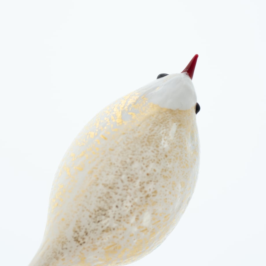 671674e43ee3fd14e8e0bfaf