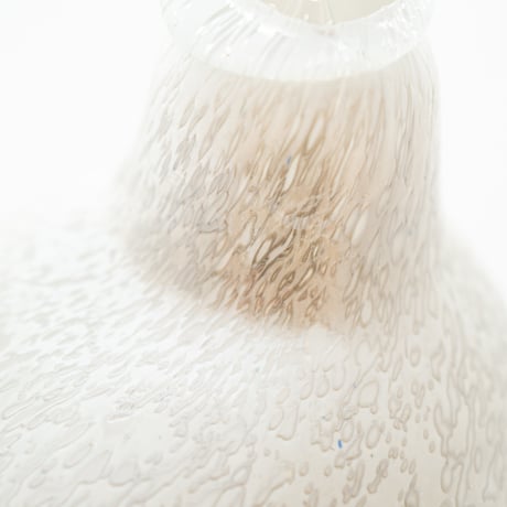 Nuutajarvi / Iittala｜Birds by Toikka｜ Winter Willow Grouse