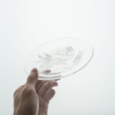 Nuutajarvi｜Pioni｜plate φ17cm