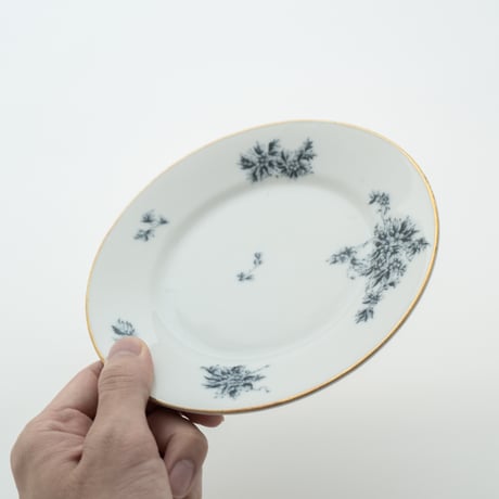 Arabia｜Astra｜plate φ17cm｜2