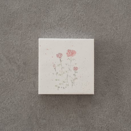 lumikka｜Correspondence-Botanica｜54