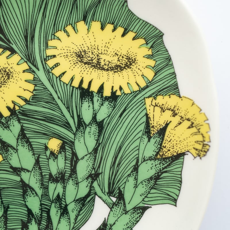 ARABIA エステリ・トムラ ボタニカ /