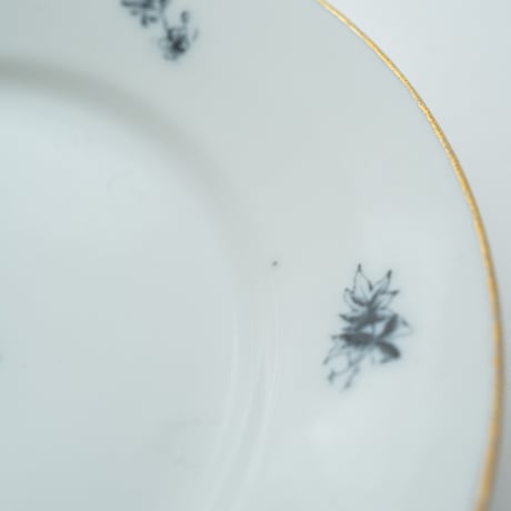 Arabia｜Astra｜plate φ17cm