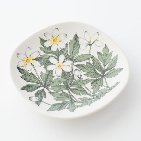 Botanica｜00｜ウッドアネモネ / Anemone nemorosa