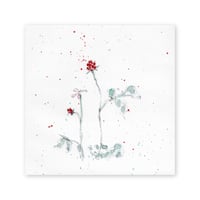 lumikka｜Correspondence-Botanica｜42