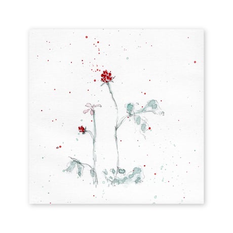 lumikka｜Correspondence-Botanica｜42