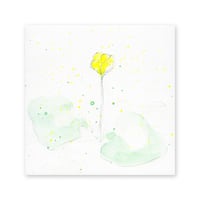 lumikka｜Correspondence-Botanica｜02
