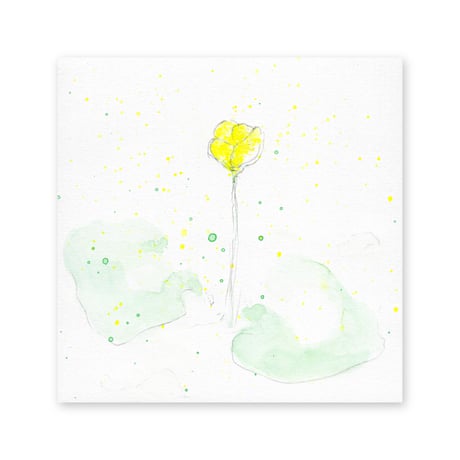 lumikka｜Correspondence-Botanica｜02